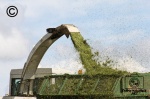 Silage Trailer Overflowing